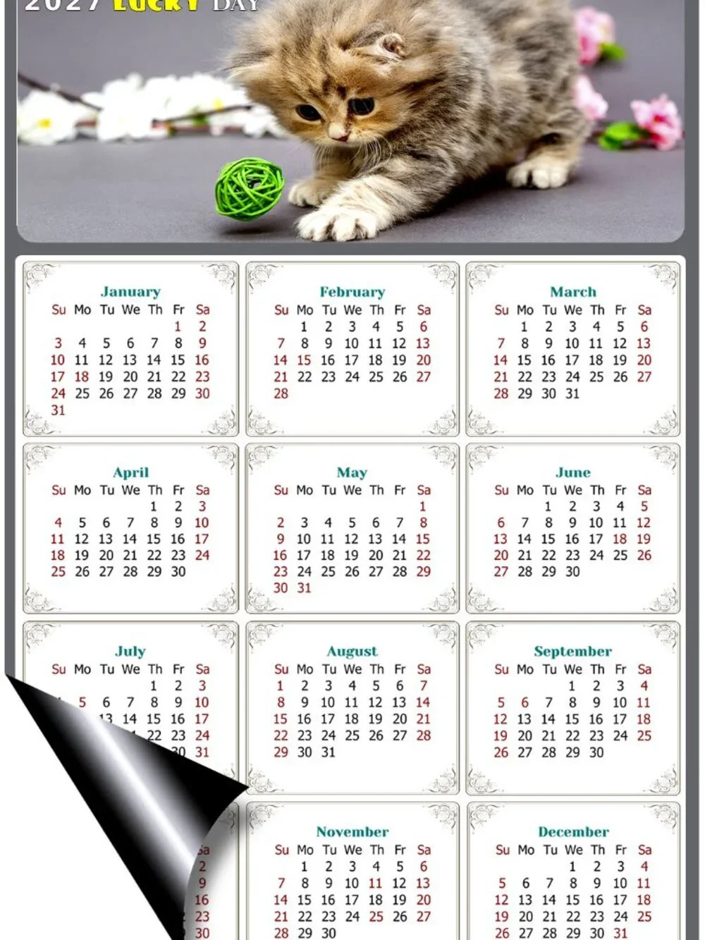 2027 Magnetic Calendar - Today is my Lucky Day - Cat Themed 017 (7 x 10.5)